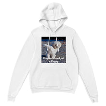 Load image into Gallery viewer, Classic Unisex Pullover Hoodie Style #3
