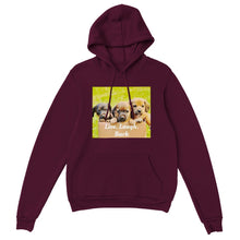 Load image into Gallery viewer, Classic Unisex Pullover Hoodie Style #5
