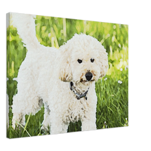 Load image into Gallery viewer, The poddle Art Painting-5 Canvas
