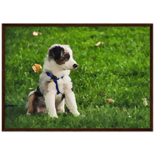 Load image into Gallery viewer, Cute puppies Art Style# 17. Available in several sizes and types.
