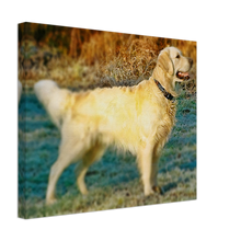 Load image into Gallery viewer, Golden Retriever Painting Style#2. Available in several sizes and types.
