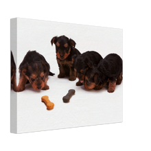 Load image into Gallery viewer, Cute puppies Art Style#9.  Available in several sizes and types.
