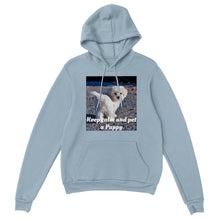 Load image into Gallery viewer, Classic Unisex Pullover Hoodie Style #3
