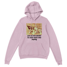 Load image into Gallery viewer, Classic Unisex Pullover Hoodie Style #9
