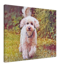 Load image into Gallery viewer, The poddle Art Painting-1 Canvas
