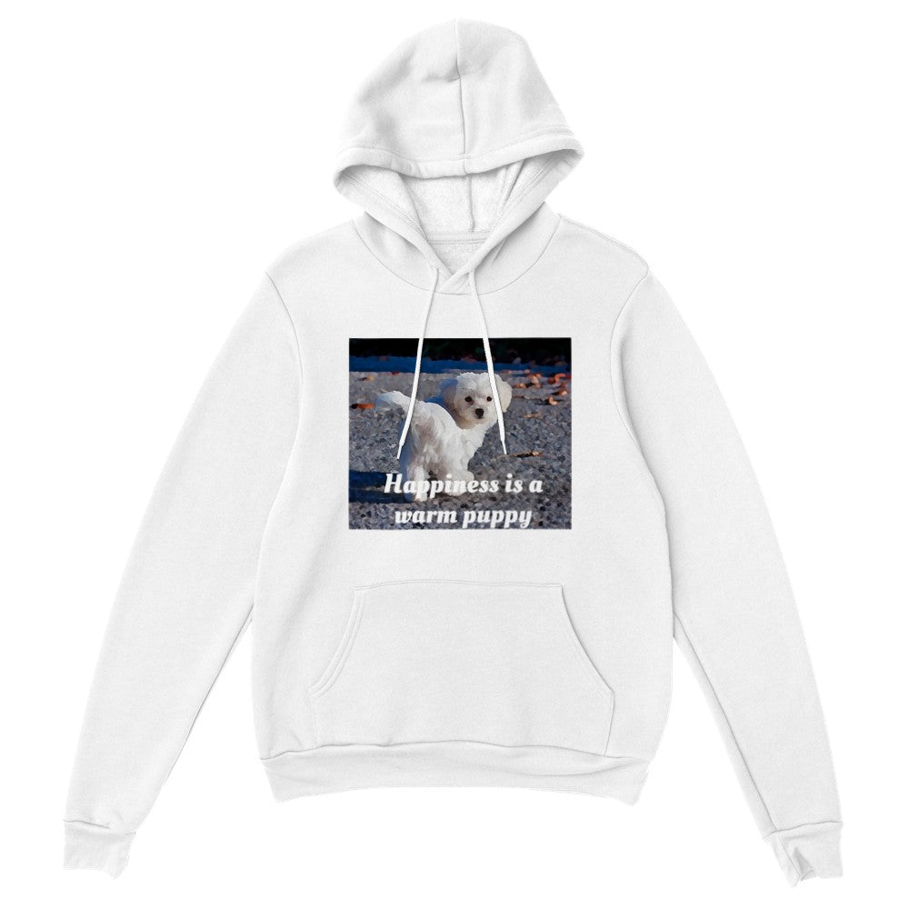 Classic Unisex Pullover Hoodie Style #10