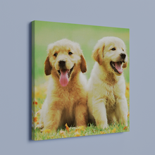 Load image into Gallery viewer, Puppies water color painting style-1Canvas
