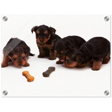 Load image into Gallery viewer, Cute puppies Art Style#9.  Available in several sizes and types.
