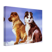 Load image into Gallery viewer, Cute puppies Art Style#29. Available in several sizes and types.
