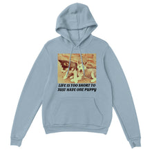 Load image into Gallery viewer, Classic Unisex Pullover Hoodie Style #2

