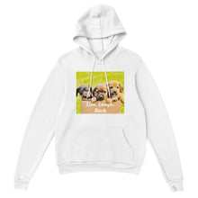 Load image into Gallery viewer, Classic Unisex Pullover Hoodie Style #5
