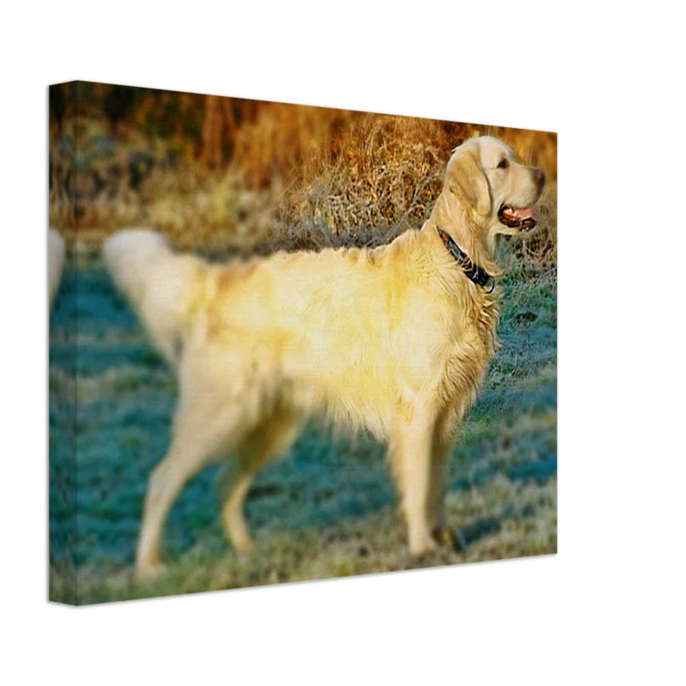 Golden Retriever Painting Style#2. Available in several sizes and types.