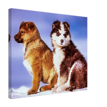 Load image into Gallery viewer, Cute puppies Art Style#29. Available in several sizes and types.
