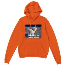 Load image into Gallery viewer, Classic Unisex Pullover Hoodie Style #10
