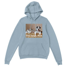 Load image into Gallery viewer, Classic Unisex Pullover Hoodie Style #6
