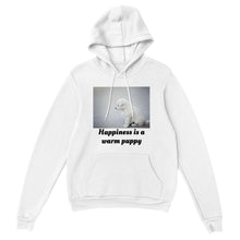 Load image into Gallery viewer, Classic Unisex Pullover Hoodie Style #4
