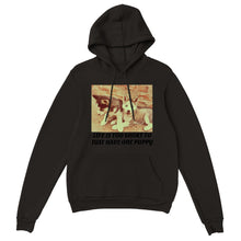 Load image into Gallery viewer, Classic Unisex Pullover Hoodie Style #2
